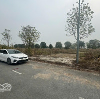 Hot Hót Nhất Phủ Lý , Hà Nam ,Đất Bạch Mai 2,Ô Tô ,Diện Tích 120M2 ,Giá Siêu Rẻ ,Kinh Doanh Đỉnh