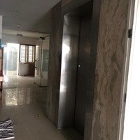 Nhà Mặt Tiền, Cho Thuê Nguyên Căn. Cực Hot Giá Chốt 65 Triệu/Tháng (Áp Dụng Tháng 1&2/2025)