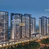 Cập Nhật Giỏ Hàng Celesta Rise Chuyển Nhượng Tháng 1/2025. 0906833889