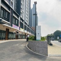 Cho Thuê Shophouse Celesta Rise, 80 Triệu, 163M2, 2 Phòng Ngủ- Nhà Thô Mặt Tiền Nguyễn Hữu Thọ