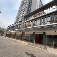 Cho Thuê Shophouse Celesta Rise, 80 Triệu, 163M2, 2 Phòng Ngủ- Nhà Thô Mặt Tiền Nguyễn Hữu Thọ