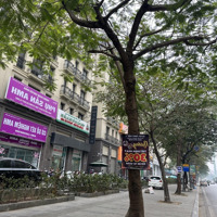 Chuyển Đổi Cần Bán Shophouse The Terra Mặt Đường Nguyễn Thanh Bình/Tố Hữu - Nhà 7 Tầng 1 Tum