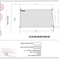 Bán Shophouse 5 Tầng Dự Án Hồng Bàng Midtown Quán Toan Giá Đầu Tư F0