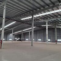 Bán xưởng 10000m2 KCN Long Hậu,  Huyện Cần Giuộc, Long An