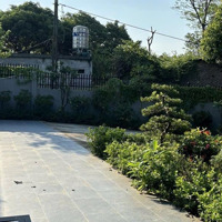 Bán Căn Nhà Vườn Tại Đông Yên - Quốc Oai Diện Tích 458M2 Sẵn Nhà Vườn Đẹp, Vị Trí Tại Quốc Oai