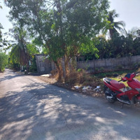 Nhà Mặt Tiền Bờ Bao Xóm Hố - Dương Đình Cúc, Bình Chánh, 859M2, Ngang 20M