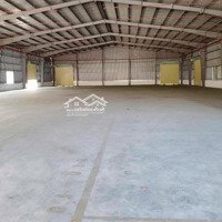 Xưởng Cửa Khẩu Xa Mát, 22000M2, Xưởng 7000M2, Giá 160 Triệu/Th, Mặt Tiền, Hạ Thế Lớn