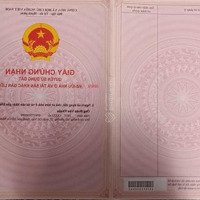 Đất Vườn Cây Ăn Trái (Chôm Chôm, Măng Cụt, Nhãn, V. V. V) Diện Tích 2588M2 (Có Sẵn 700M Thổ Cư)