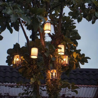 Bán Nền 1033 M2, Mặt Tiền Rộng 45M, Dân Cư Hiện Hữu, An Nình, Shr Giá Chỉ Từ 1. 8 Triệu/M2 Chưa Ưu Đãi