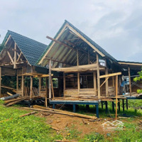 Bán Nền 1033 M2, Mặt Tiền Rộng 45M, Dân Cư Hiện Hữu, An Nình, Shr Giá Chỉ Từ 1. 8 Triệu/M2 Chưa Ưu Đãi