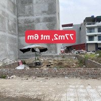 Cần Bán Nhanh Siêu Phẩm Đất Dịch Vụ Vân Canh Khu 25,2Ha.lô Đất View Vườn Hoa Hướng Nam Thoáng Mát .