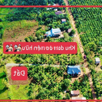 Ea Ktur- Cư Kuin Chỉ 139 Triệu Sở Hữu Lô Đất Ngang 10M Sẵn Thổ Cư Kdc Về Sân Bay Chỉ 19Km