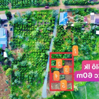 Ea Ktur- Cư Kuin Chỉ 139 Triệu Sở Hữu Lô Đất Ngang 10M Sẵn Thổ Cư Kdc Về Sân Bay Chỉ 19Km
