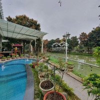 Bán Biệt Thự Vinhomes Riverside 400M2, View Sông Rộng, Bể Bơi Riêng Resort 5 Sao, Hầm Rượu, Karaoke