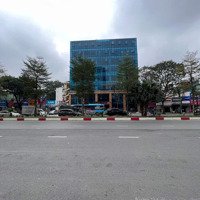 Chính Chủ Bán Đất Mặt Phố Hồ Tùng Mậu 550 M2. Mặt Tiền 15 Mét 195 Tỷ