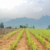 Bán 1761M,100M Thổ Cư Bám Đường 20M,View Hồ Thoáng Đẹp,Nghỉ Dưỡng,Tân Lạc Hoà Bình,8Xxtr,0969065802
