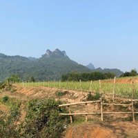 Bán 1761M,100M Thổ Cư Bám Đường 20M,View Hồ Thoáng Đẹp,Nghỉ Dưỡng,Tân Lạc Hoà Bình,8Xxtr,0969065802