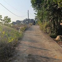 Chỉ Vài Trăm/M2 Cho Lô Đất Nghỉ Dưỡng Siêu Lý Tưởng Tại Xã Ba Vì, Ba Vì, Hn. Nghỉ Dưỡng Hay Pl Ok