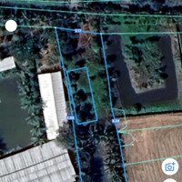 Bán Gấp Hơn 1000M2 ,Có 150M2 Thổ Cư,Mặt Tiềnđường Nhựa, Ngay Gần Ql50B, Cách Sg 25 Phút