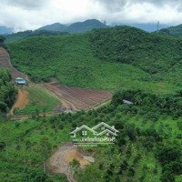 Đất Làm Trang Trại - 5.2Ha Diên Sơn - Diên Khánh - Khánh Hoà