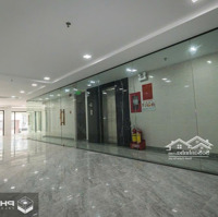 Building Mới Xây. Mặt Tiền Bạch Đằng, P2, Tân Bình. 198M2 (7X29M), Hầm + 8Tầng, Tn: 350 Triệu/Th. 46 Tỷ