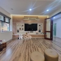 Bán Căn 2 Phòng Ngủ Diện Tích 70M2, Giá Bán 4,58 Tỷ Chung Cư Sky Central 176 Định Công