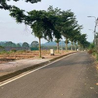 Bán Đất 225M2 Tại Xã Tân Hiệp, Phú Giáo, Bình Dương, 950 Triệu