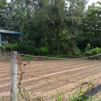Bán Đất Tại Xã Long Hòa, Cần Giờ, Hồ Chí Minh, Giá Cực Chất 12 Tỷ, 906 M2 Đẹp, Nhiều Tiện Ích