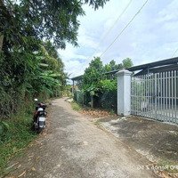 Đất Đường Ô Tô Gần Khu Hành Chính Mới Diên Khánh.
