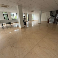 Cho Thuê Gấp Văn Phòng 450M2, 50 Triệu Tại Lý Anh Tông, Võ Cường, Bắc Ninh