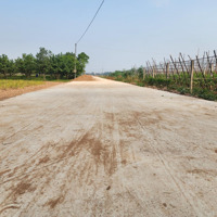 Bán Đất Nền 1,5 Tỷ Tại Đt 419, Long Thượng, Phúc Thọ, Hà Nội, 1500M2 Hàng Hiếm Tại Uy Tín