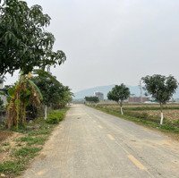 Bán 1185M2 Thổ Cư 100%, Gần Đường Đôi 42M Kim Quỳ