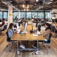 Cho Thuê Nhà Phố Quang Trung 110 M2, Mặt Tiền 5.5 M Nhà 2 Tầng Phù Hợp Mọi Mô Hình Kinh Doanh