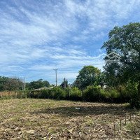 [Hot] Đất Vườn Chu Văn An - Định Quán, Đường Nhựa Vào Tận Nơi Giá Thương Lượng Hấp Dẫn Từ 1.45 Tỷ