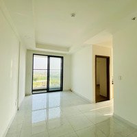 Bán Cc Osimi Phú Mỹ, 980 Triệu, 38M2, 1 Phòng Ngủ 1 Vệ Sinh Phong Thủy Ổn, Bà Rịa Vũng Tàu