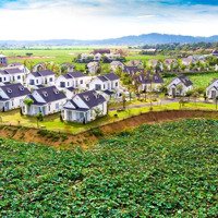 Suất Ngoại Giao Vip Nhất Dự Án Vườn Vua! Biệt Thự View 2 Mặt Hồ Sen Giá Bán 4,5Tỷ Full Nội Thất 5*