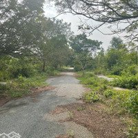 Bán Đất Kdc Minh Long Phú Xuân Nhà Bè, Vị Trí Đẹp Giá Cho Nhà Đầu Tư, 114M2