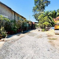 Thanh Phước- Gò Dầu- Tây Ninh Cách An Sương Chỉ 40Km Diện Tích Hơn 200M2 Sẵn Thổ Cư Giá 435 Triệu