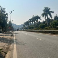 Bán Nhà Biệt Thự Trung Tâm Thành Phố