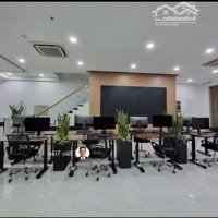 Shophouse Khối Đế Sala Sở Hữu Vĩnh Viễn Diện Tích 337M2