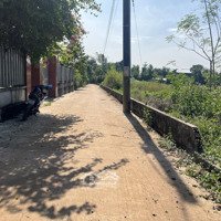 Bán Gấp 100M2 Đất Mặt Tiền Bê Tông 6M,Sát Đường Liên Huyện Xuân Lộc- Long Khánh Nhỉnh 200 Triệu