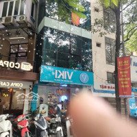 Bán Nhà Mặt Phố Tại Tỉnh Lộ 359, 11,99 Tỷ, 93,5 M2, 4 Phòng Ngủ 3 Vệ Sinh Thủy Nguyên, Hải Phòng