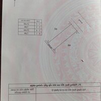 Bán đất đấu giá Hoàng Hoa, Tam Dương. DT 165.4m2. Giá 10.5tr/m2