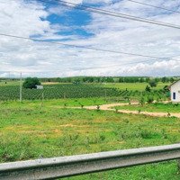 Duy Nhất Tại Xã Hồng Liêm, Giá Cực Chất Chỉ 558 Triệu/Lô, Diện Tích 1600M2 Xã Hồng Liêm, Qh Thổ Cư!