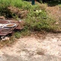 Bán Đất Đẹp Tại Cổ Loa, 3,22 Tỷ, 64,4M2, Mặt Tiền 4M, Ngõ 2M