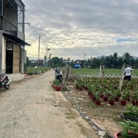 Bán Đất Ngay Trung Tâm Diên Khánh, Khánh Hòa.