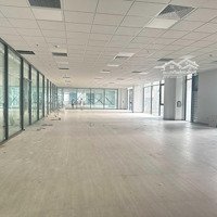 Cđt Chính Thức Tung Ra Siêu Phẩm 10.000M2 Tại Trường Chinh - Nguyễn Trãi, Phù Hợp Mọi Loại Hình