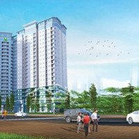 Cho Thuê Chcc 8X Đầm Sen , 55M2 1 Phòng Ngủ 1 Vệ Sinh, Giá Bán 6, 8 Triệu Q.tân Phú