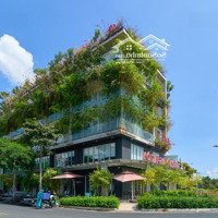 Cho Thuê Nhà Mặt Phố Kđt Sadora Sala Đường B2, An Lợi Đông, Quận 2, Tp.hcm. Dt: 12X30M.