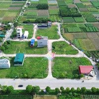 Bán Đất Đấu Giá X2 Sơn Du, View Vườn Hoa, Nguyên Khê, 80M Giá Chỉ 83 Triệu/M2 Rẻ Nhất Khu Vực